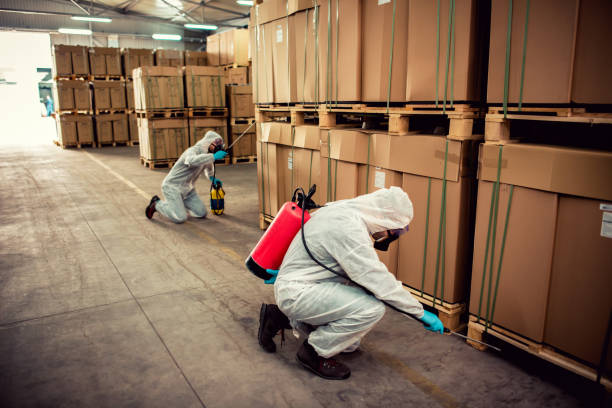 Best Flea Control Services  in New Castle, PA