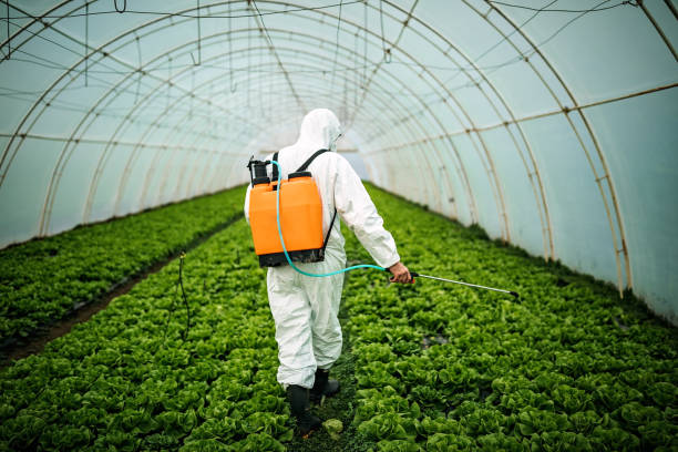 Best Best Pest Control Companies  in New Castle, PA