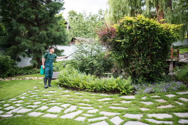 Best Exterminator Services  in New Castle, PA