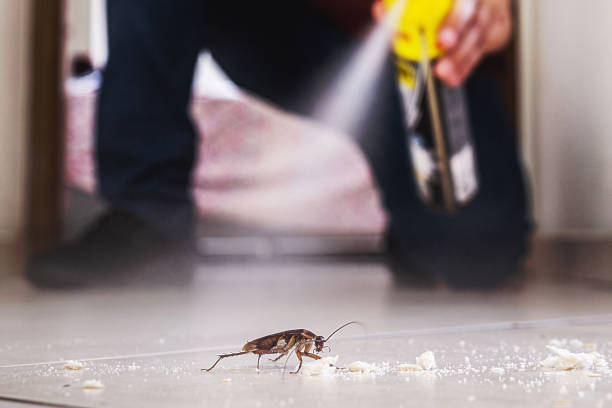 Best Pest Removal Services  in New Castle, PA