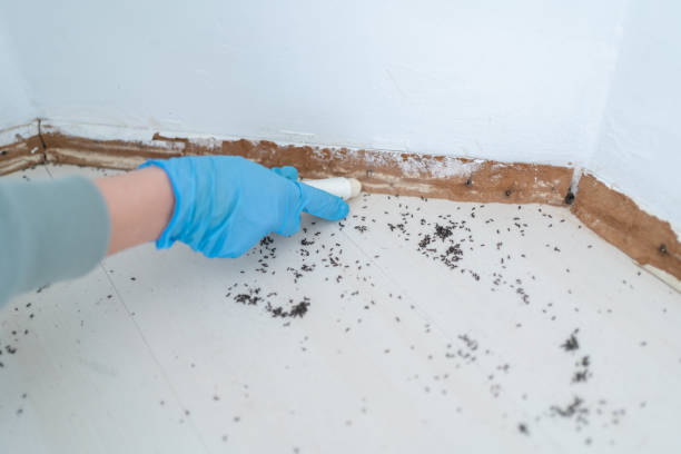 Best Emergency Pest Control  in New Castle, PA