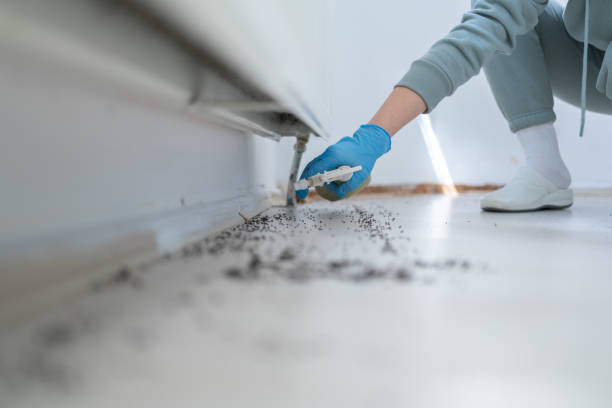 Best Wildlife Control Services  in New Castle, PA
